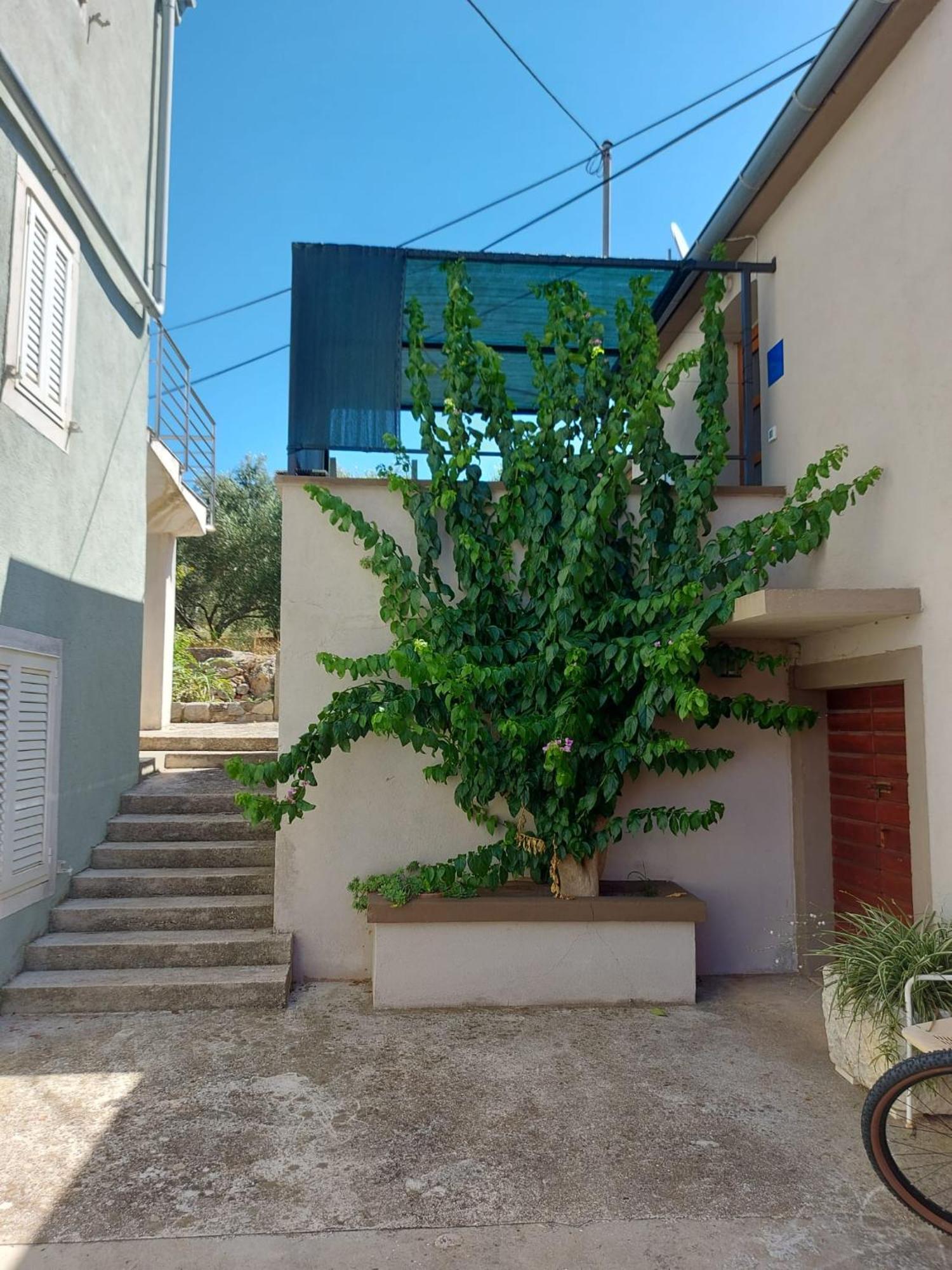 Apartmani Bugenvilija Brbinj Exterior foto